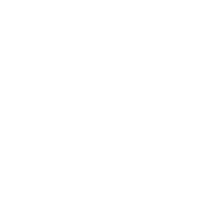 CV ENG